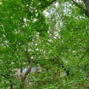 [Camping] 경기도 양주 캠핑장 / 별을다는아이 아랫동 2가족 캠핑후기🏕 / 수도권캠핑장 추천