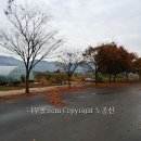 느티나무농장 이미지