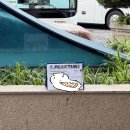 화이트빌리지 | DAY4🇻🇳] 나트랑→무이네 피크타임 단독투어 솔직후기 (요정의 샘·피싱빌리지·화이트샌듄·레드샌듄)