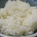 쌀 이미지