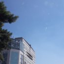 바디메이드