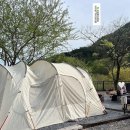 다옴 캠핑장 | 하동다옴펜션 <다옴캠핑장> 2-3번 사이트 이용 후기 _하동여행🌿[국내여행추천] 첫 캠핑 후기