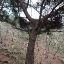 장고축산 이미지