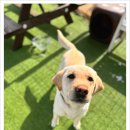 아이조아요양호텔 이미지