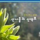 산약초이야기 이미지
