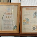 세븐일레븐 김제검산택지점 | 김제 가볼만한곳 감성카페 셀리스트 로스터리
