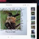 3 Nests, Nests, Nests 이미지