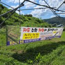 동건농장 이미지