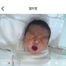 (주)스튜디오게일 | [공지] 분당 데시미늄산후조리원 | 시그니처룸 13박14일 후기✨