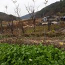 봉전마을 이미지