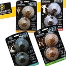 스타애견 이미지