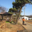 금당엄나무마을 이미지