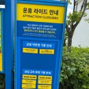 레고랜드 | 초등 아이와 어트랙션 21번 탄 후기, 어트랙션 추천 및 키제한