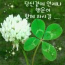 사랑공인중개사사무소 이미지