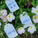 헬스라이프 팜