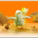 주식회사 위로 이미지