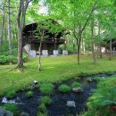 숲속골프 이미지