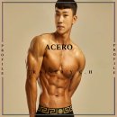 아세로짐 이미지