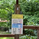 선반내천지연무태장어