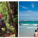 팔성농장 이미지