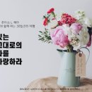 (주)선한바이오 이미지