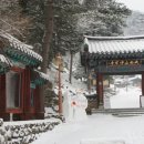 마을닭집 이미지