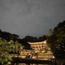 배풀고 | 돈이 아깝지 않는 알찬 프로그램 - 2025년 창덕궁 달빛기행 🌕 (취소표 줍줍)