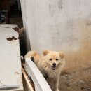 행복펜션 민박 | [청솔민박] 태안 갯벌체험하러 갔다가 촌캉스랑 바베큐까지! 1박2일 숙박 펜션 숙소 추천