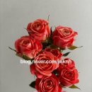 장미의 계절 🌹 풀오브플라워스튜디오 내돈내산 후기