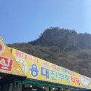 진부령황태 코다리전문점 | 강원도 인제 황태요리 전문점, [용대진부령식당] - 황태해장국, 더덕구이, 감자전 추천, 반찬 맛집