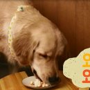 멍이와 냥이의 부엌 이미지