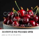 우승농장 | 코스타리카 돈마요 농장: 8번의 COE 우승, 그 특별한 커피의 비밀