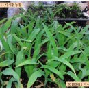 다시,봄 이미지