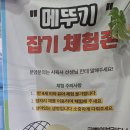 지원농장 | 경기 인천 곤충농장 아이랑 가기 좋은 굼벵이브라더스 체험 후기