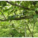 큰바위농장 이미지