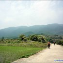 백운계곡둘레길 이미지