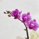 화경축산 이미지