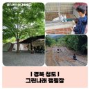 아이들 놀기 좋은 나무 그늘 캠핑장, 청도 그린나래 캠핑장