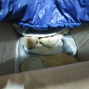 모정농장 이미지