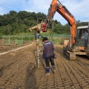 태영태양광발전소 이미지