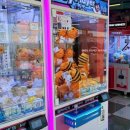 뽑기짱 | 인형뽑기 유목민 주목! 월미짱랜드 짱오락실 아이와 후기