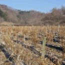 외리 민박 이미지