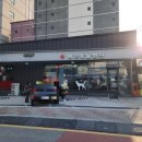 메인동물병원 이미지