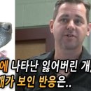 보인주 이미지