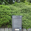 경포뜰 | 강릉 경포대 ,선교장, 오죽헌