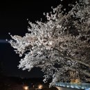 유강당구장 이미지