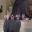 개쌀롱 | 광주 예슬쌀롱 불로동점 애쉬매트브라운 염색 후기 충장로 미용실 추천(ft. 린아 디자이너)