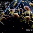 이의후 개인전 이미지