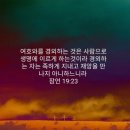 잠언 19: 18- 29 “훈계를 받는 지혜, 꾸지람을 받는 겸손” 이미지