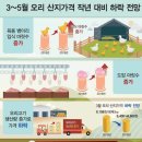 정다운 사업보고서 재무제표 살짝 보기